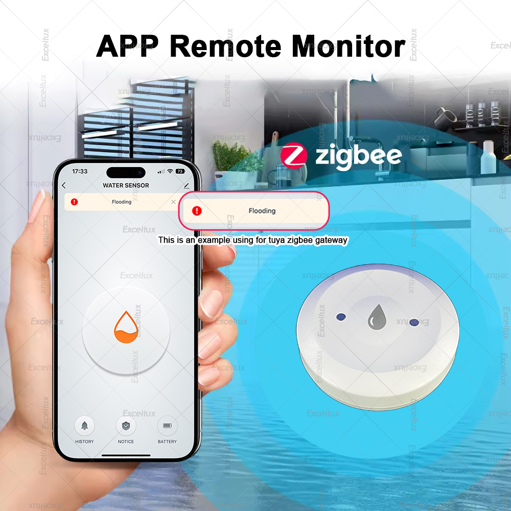 Zigbee Water Detector Leakage  - Home Security Monitor 评论和价格